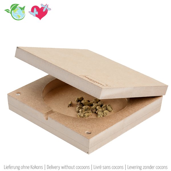 Observational Hatching Chamber for Wild Bees