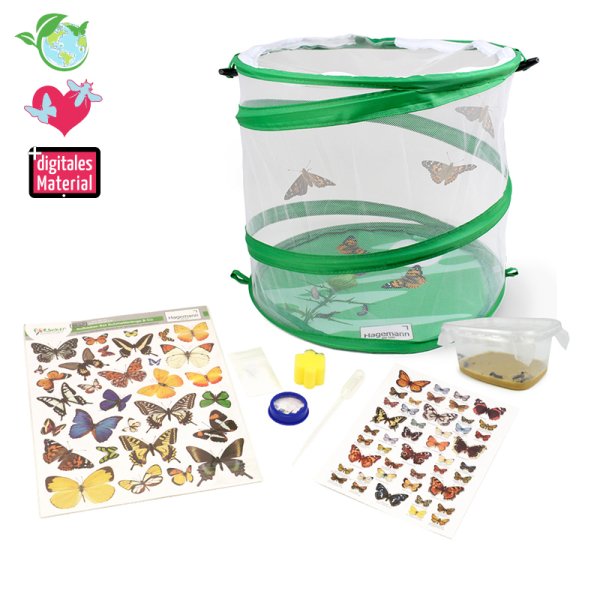 Breeding Set "Butterflies", compact, 7 pcs.