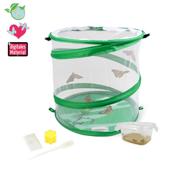 Zuchtset "Schmetterlinge", Starter-Set, 5-tlg.