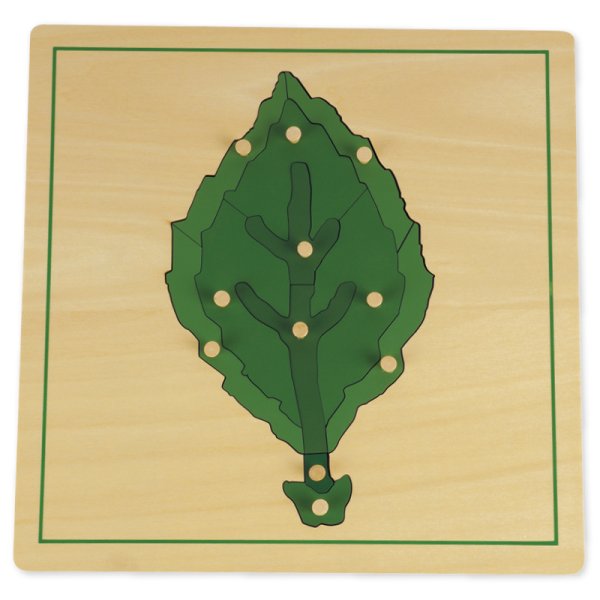 TimeTEX Puzzle Leaf "Montessori Premium"