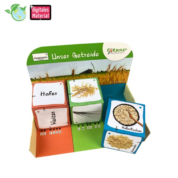 Educational dice game "Our grains", 5 pcs