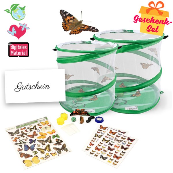 Gift Set "Butterflies", large, 12 pcs.
