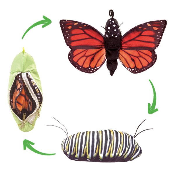 Reversible Toy "Life Cycle Butterfly"