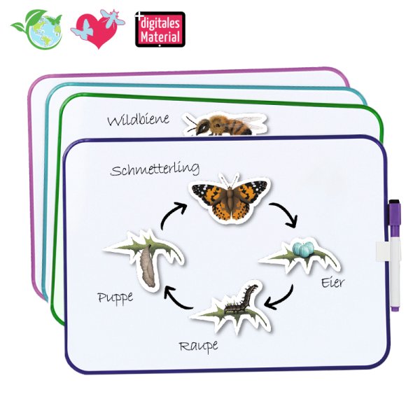 Set life cycle "Butterflies & co.", magnetic, 32 pcs