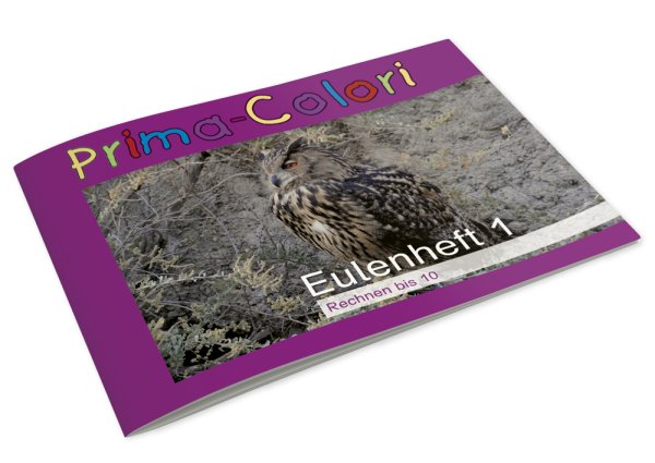 Owl Book 1
