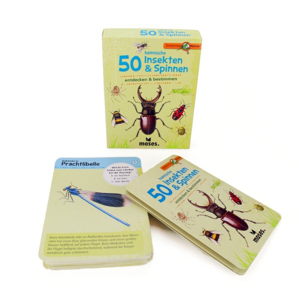 Card Game "Insekten & Spinnen, entdecken & bestimmen" ("Insects & Spiders, Discover & Identify")