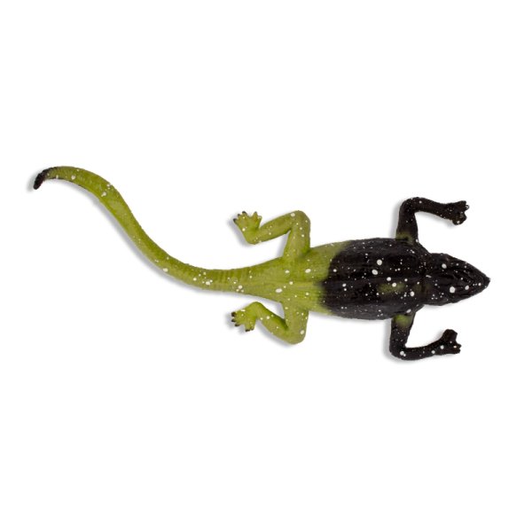 Colour-Changing Lizard, 12x5 cm