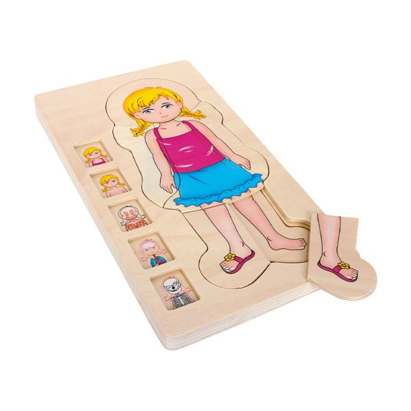 Layer Puzzle "Girl's Body", 28 pcs.