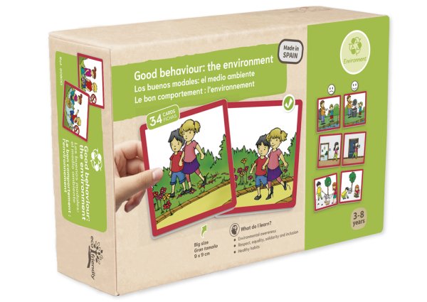 Set of "Environment" Behaviour Rules consisting of paired cards in a case