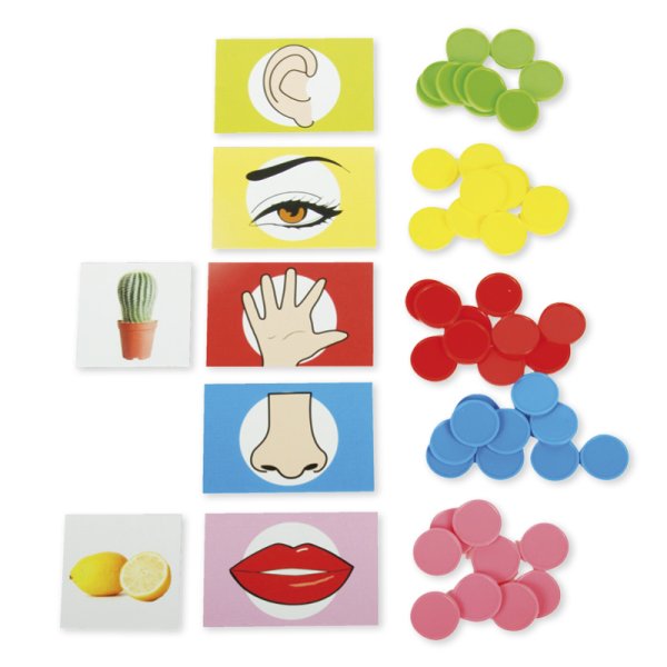 Educational game "Awaken your senses", 101 pieces